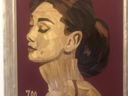 Exposición Pinceladas de canas